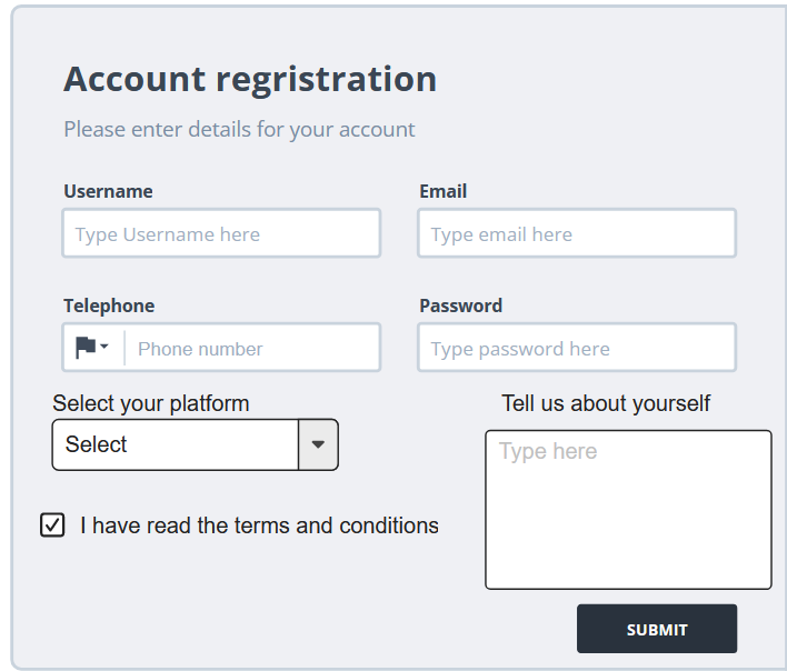 Form Wireframe